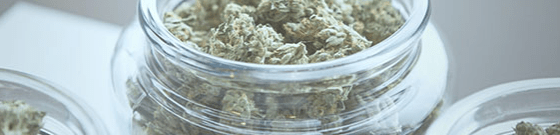 Screenshot 2019-03-27 at 08.07.17.png