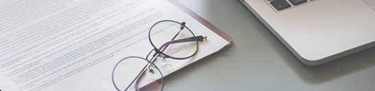 paddocks_blog_post (1).jpg