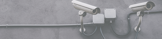 paddocks_blog_post_jan2021-1